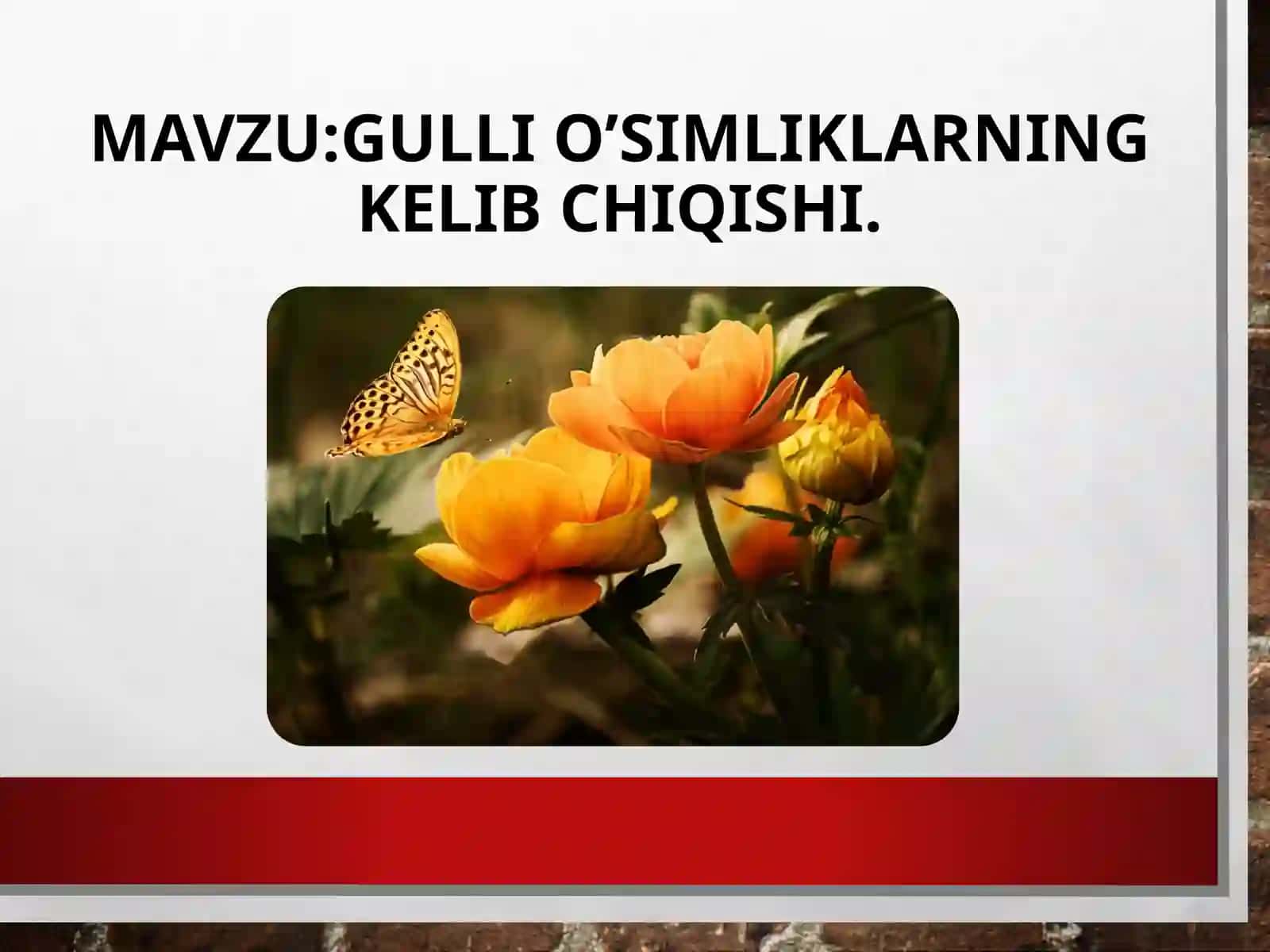 Gullio’simliklarning kelib chiqishi 2