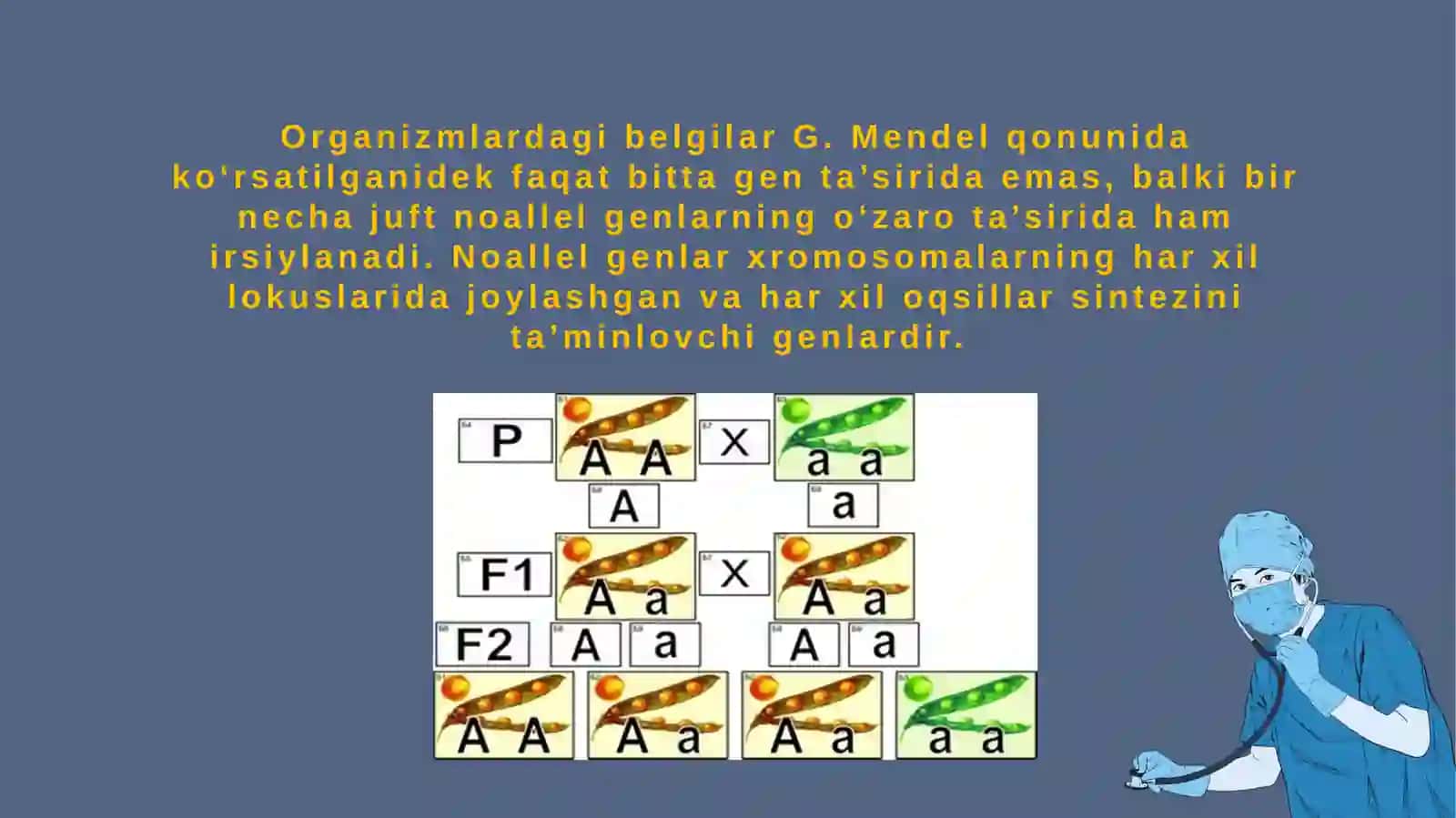 Genlarning o‘zarota’siri 2