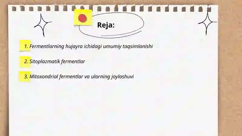Fermentlarning hujayrada joylashuvi 2