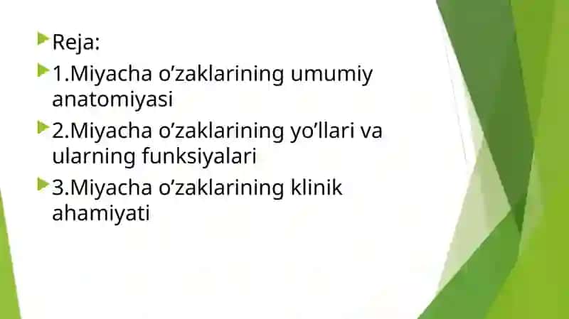 Miyacha o’zaklari va ularning klinik ahamiyati 2