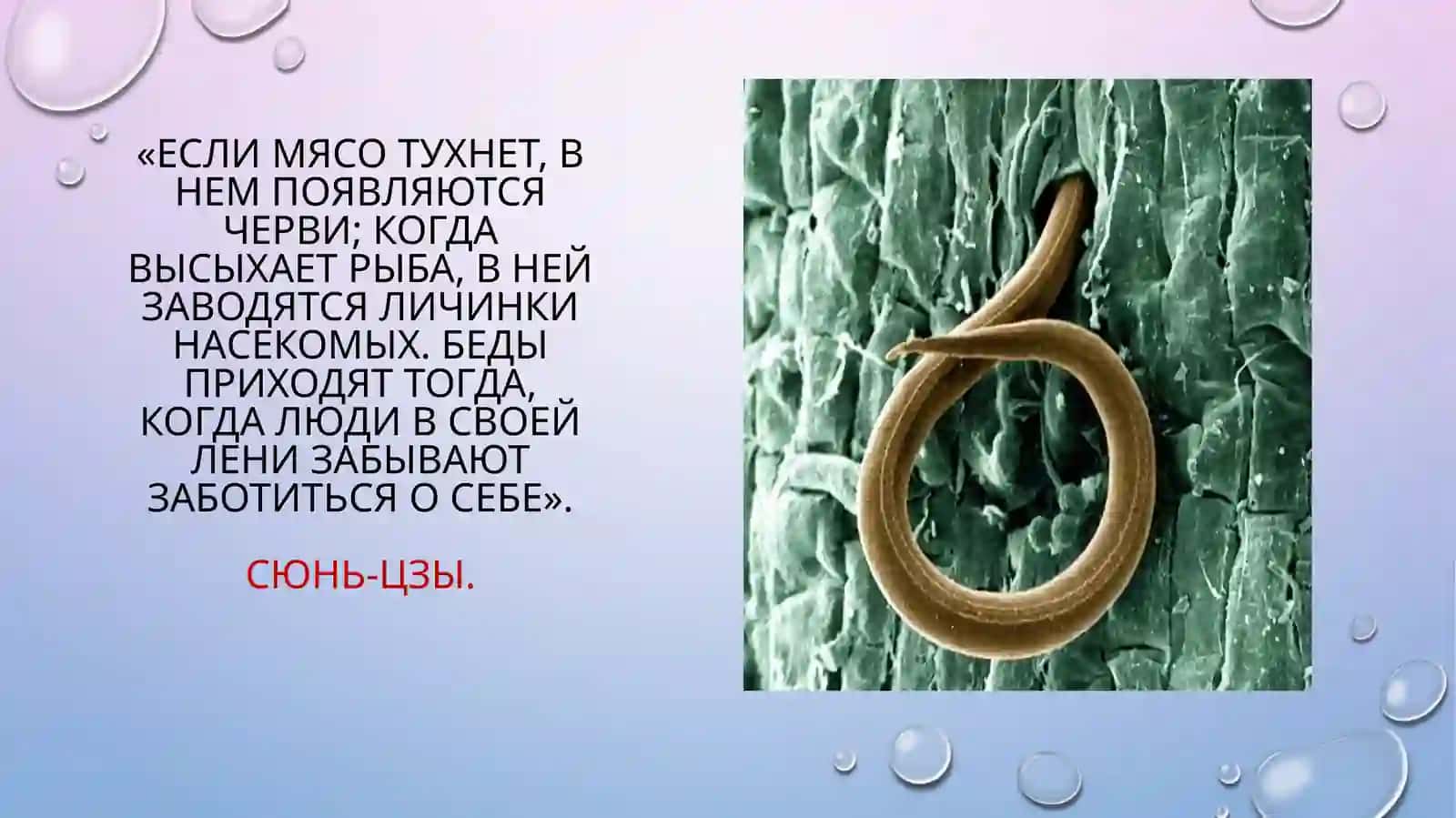 Биология почв 2