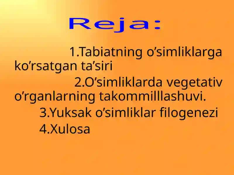 O’simliklar filogenezi 2