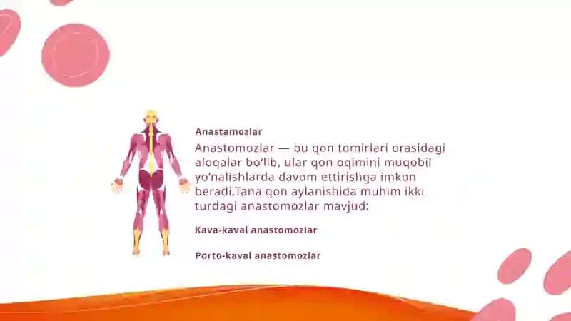 KAVA-KAVAL ANASTOMOZLAR 2