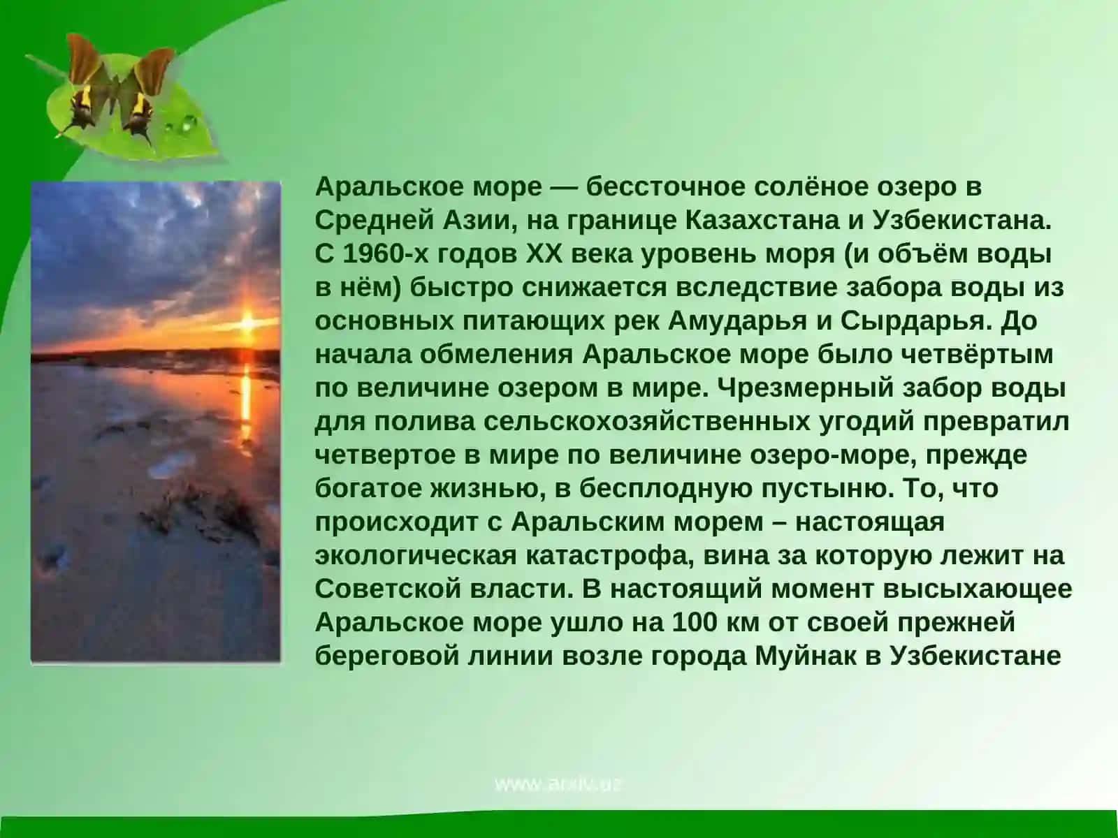 Аральское море и причины его гибели 2