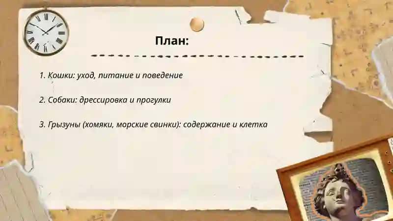 Мои домашние животиные 2