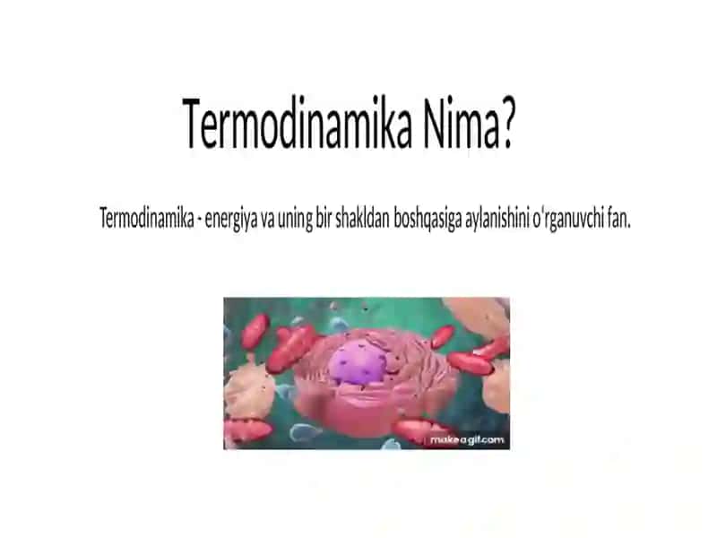 Termodinamika qonunlari 2