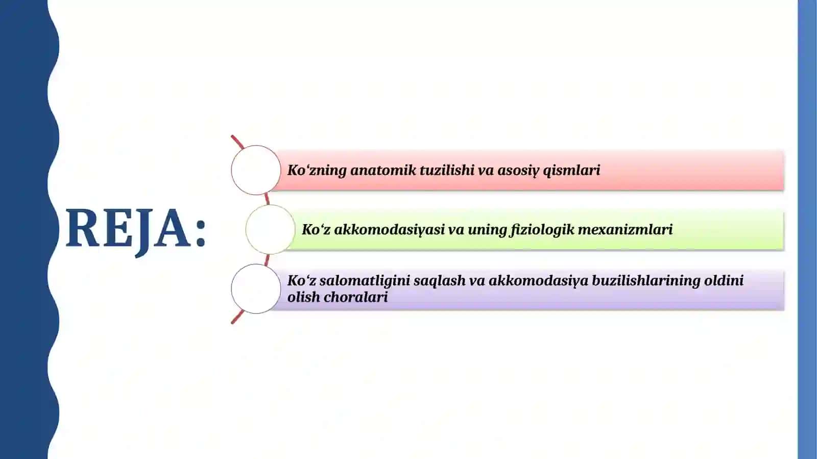 Ko'zning tuzulishi va ko'zakkomodasiyasi 2