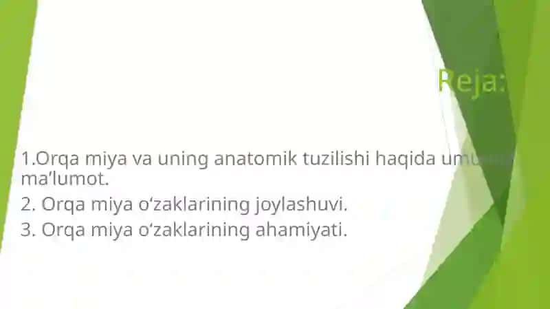 Orqa miya o’zaklarining joylashuvi va ahamiyati 2