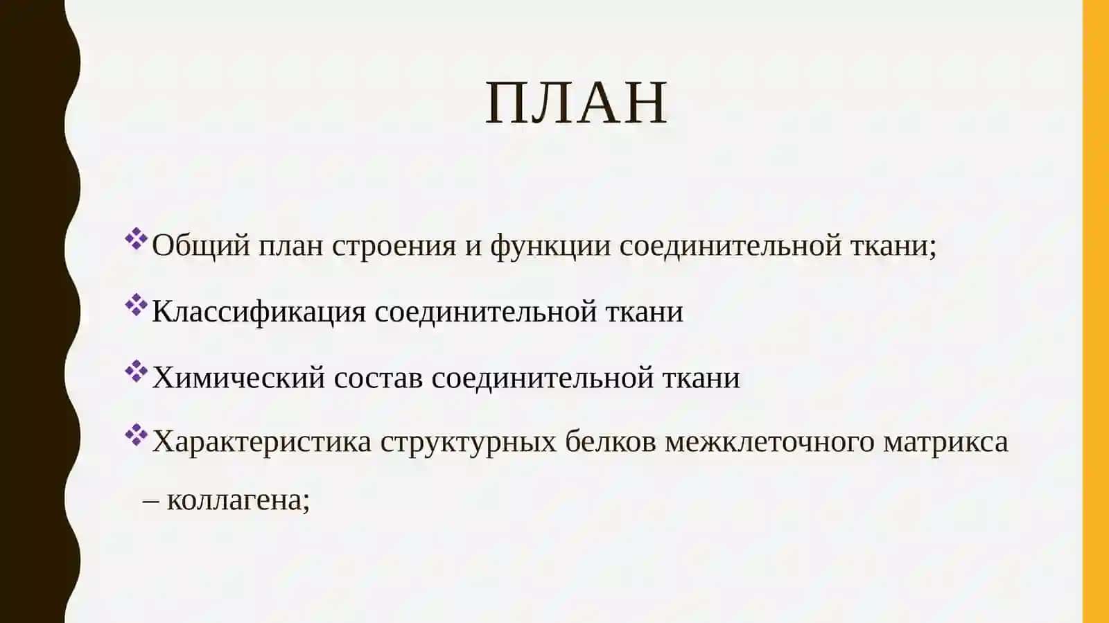 Биохимия соединительной ткани 2