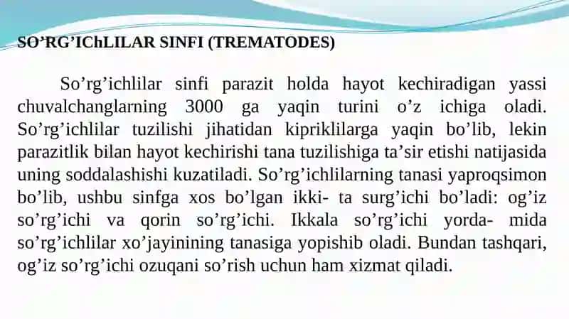 Soʼrgʼichlilar 2