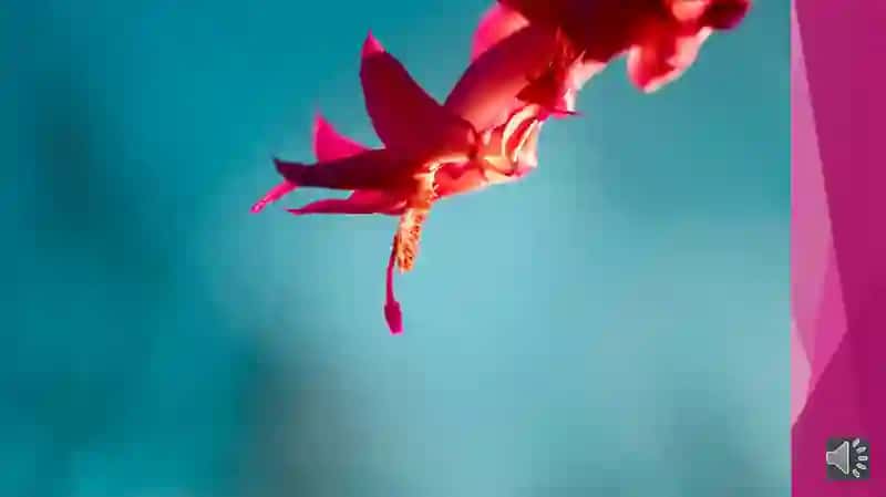 FANTASTIKA 2