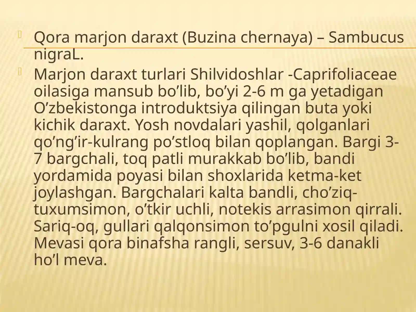 Qoramarjon daraxt (Buzinachernaya) 2