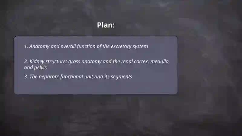 Extartory system 2
