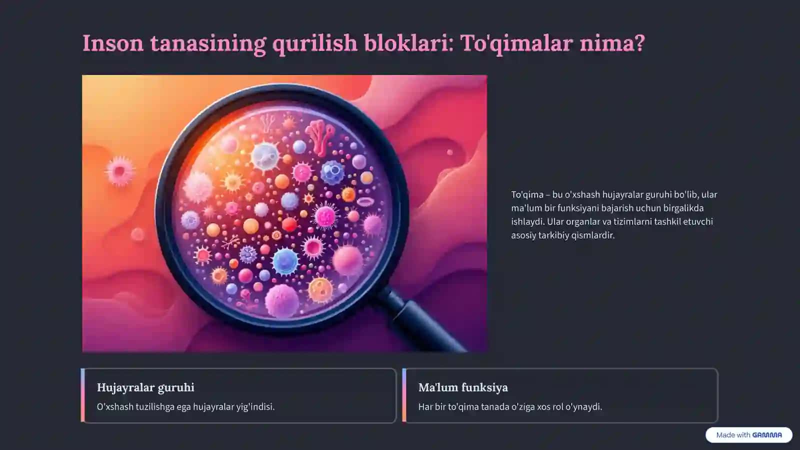 To'qimalar: Tuzilishi va Turlari 2