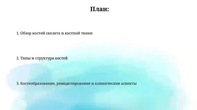 Анатомия костей скелета 2