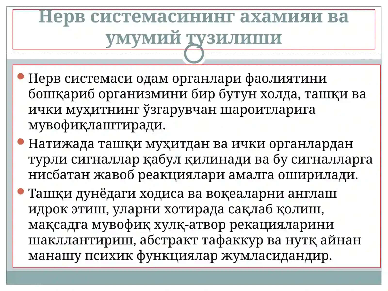 Нерв системасининг ахамияи ва умумий тузилиши 2
