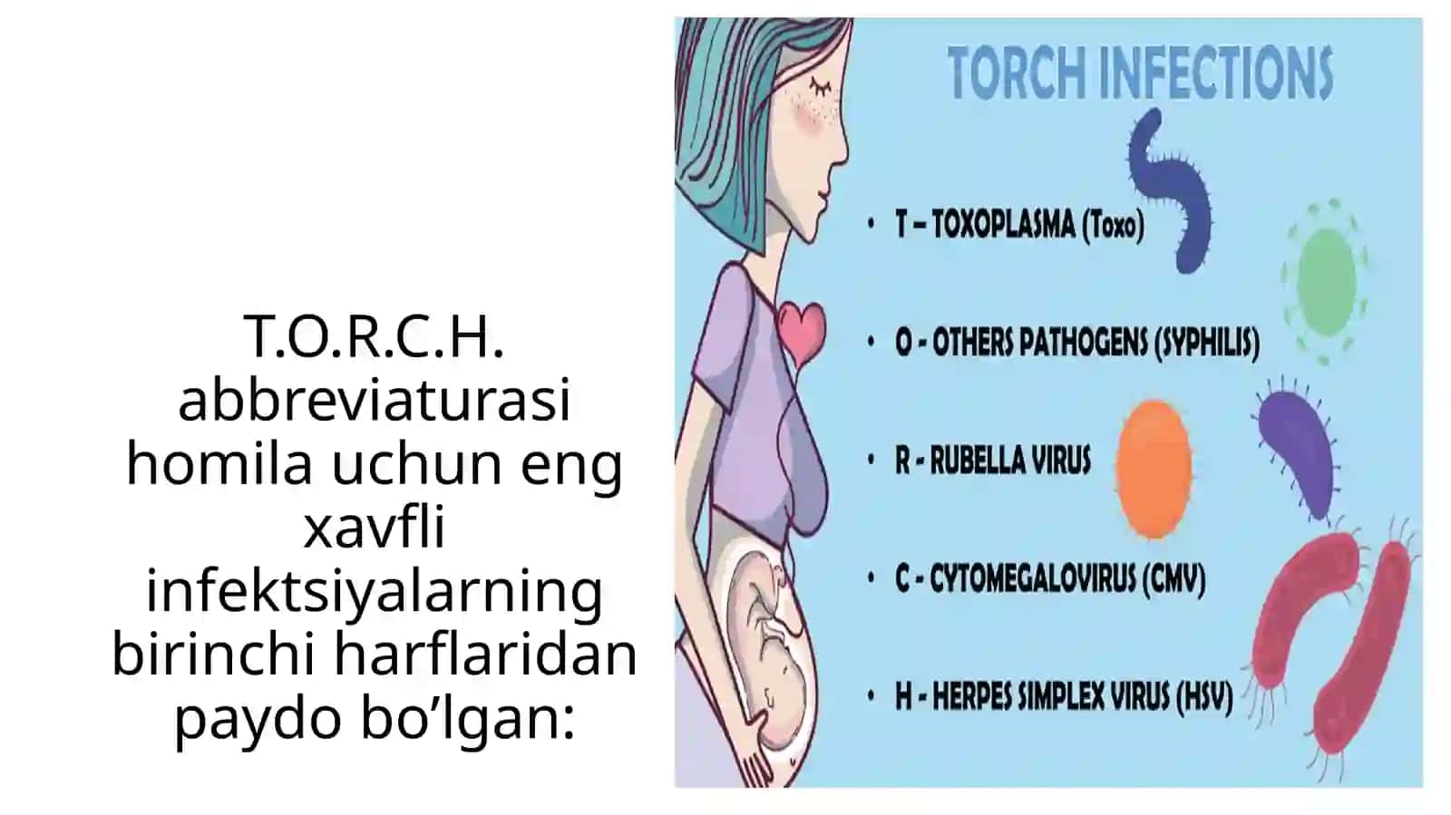 TORCH infeksiyasi diagnostikasi va patogenezi 2