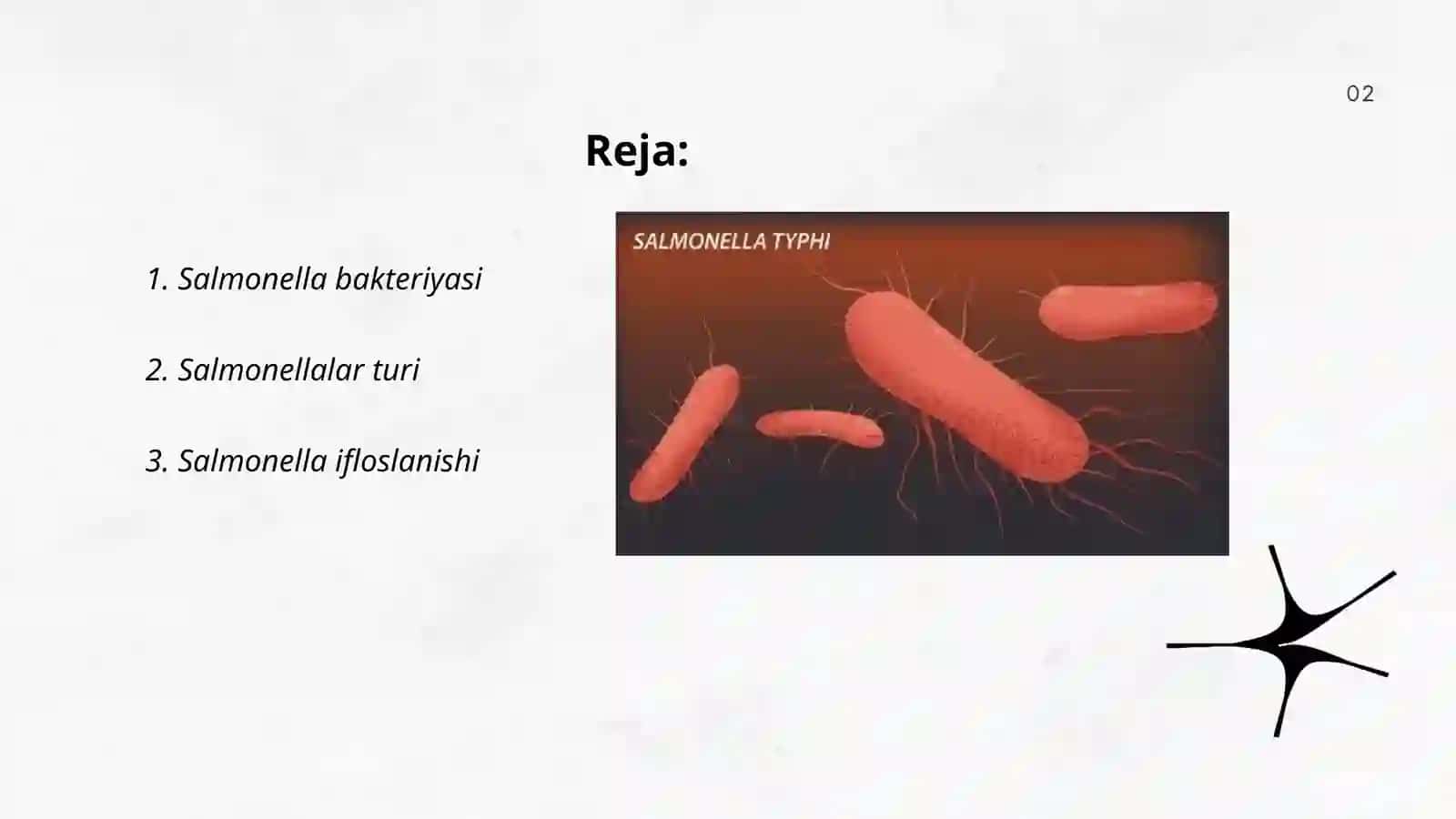 Salmonellalar 2