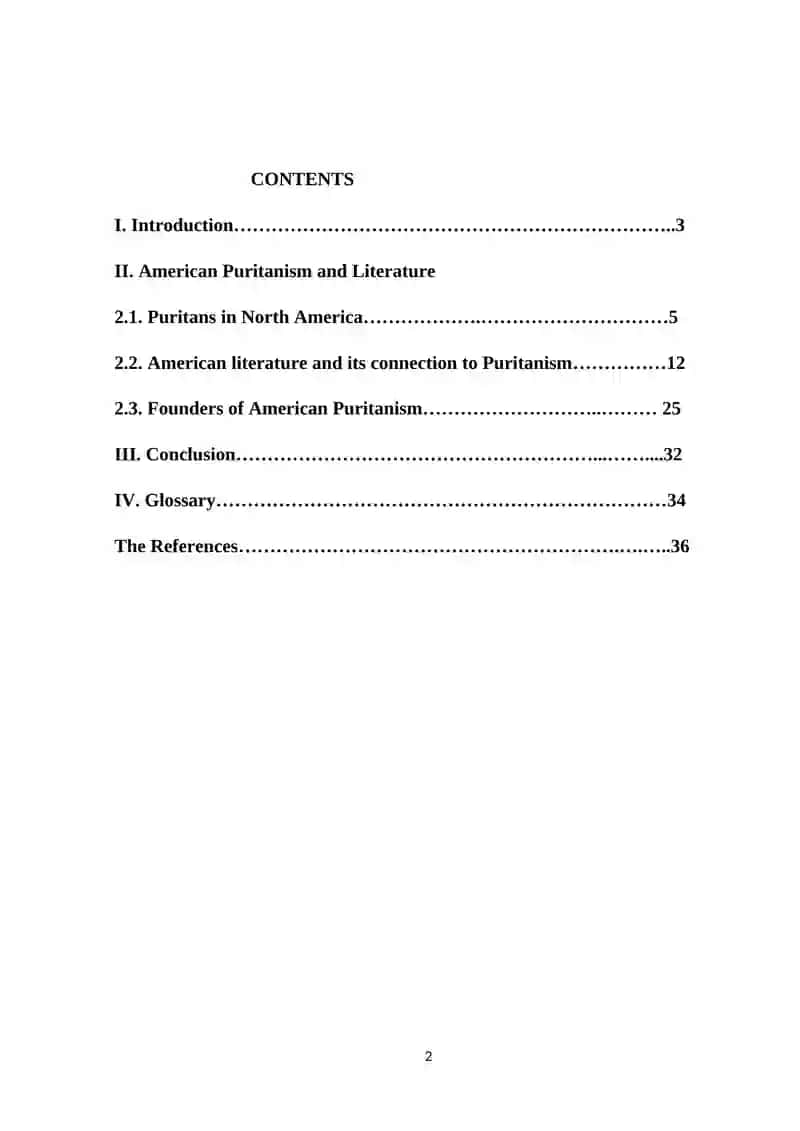American Puritanism and Literature 2