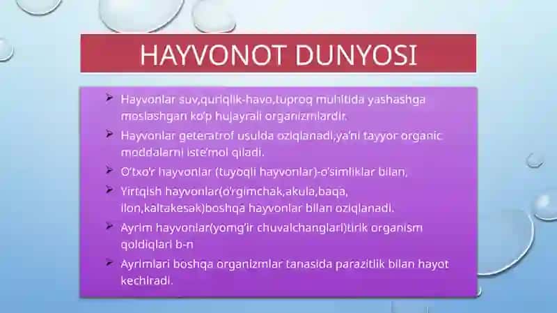 Hayvonotdunyosi 2