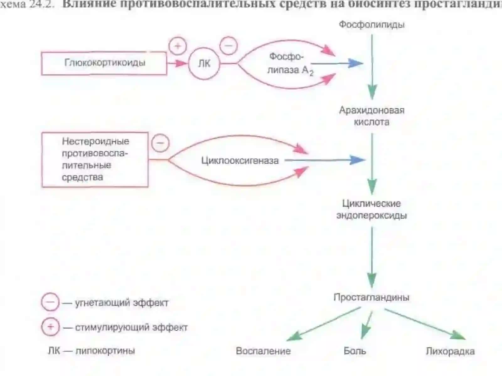 Яллигланишга карши воситалар 2