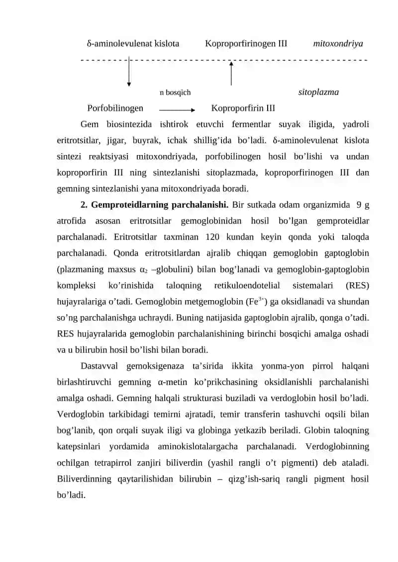 Gemproteid va nukleoproteidlar sintezi va parchalanishi 3