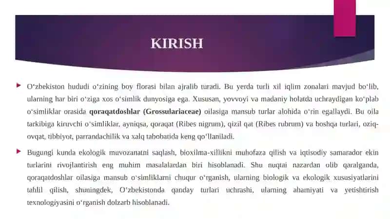 Qoraqatdoshlar Oilasi 3