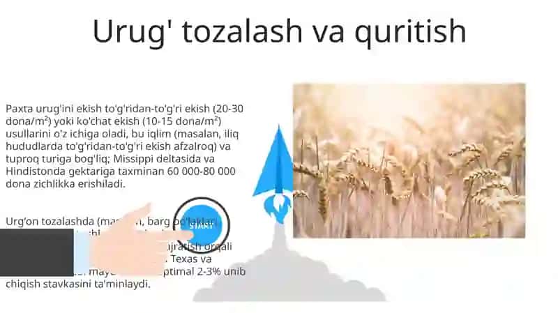 Oddiy igir oʻsimligini urugʻchiligi 3