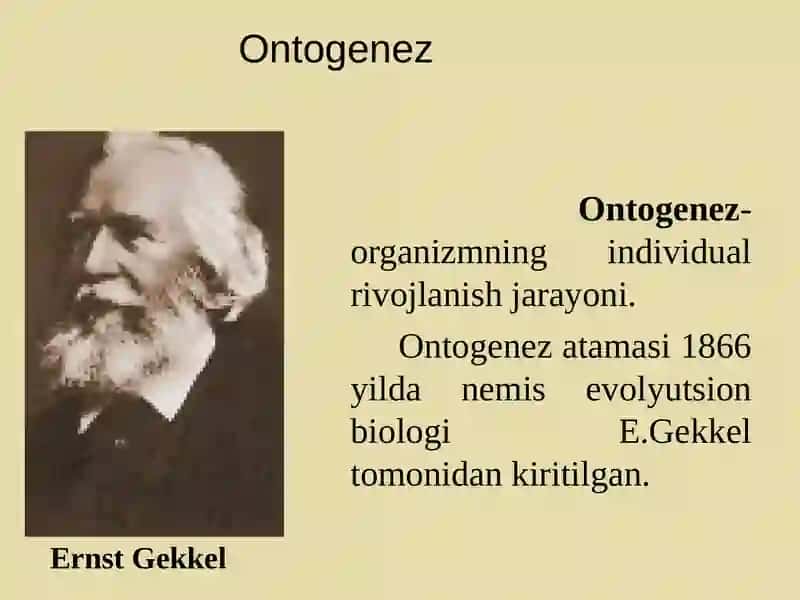 Ontogenez 3