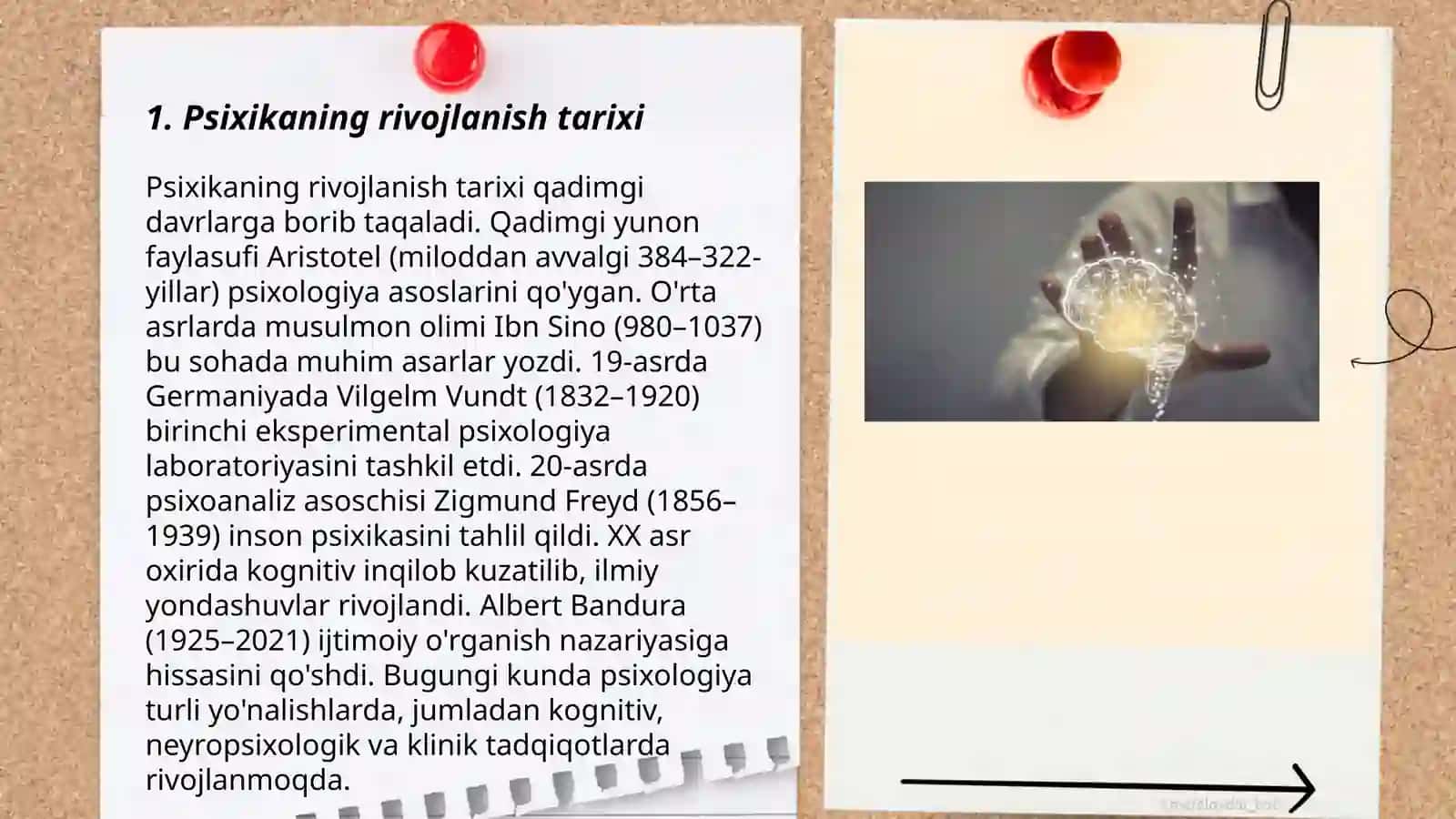 Psixikaning filogenetik taraqqiyoti 3