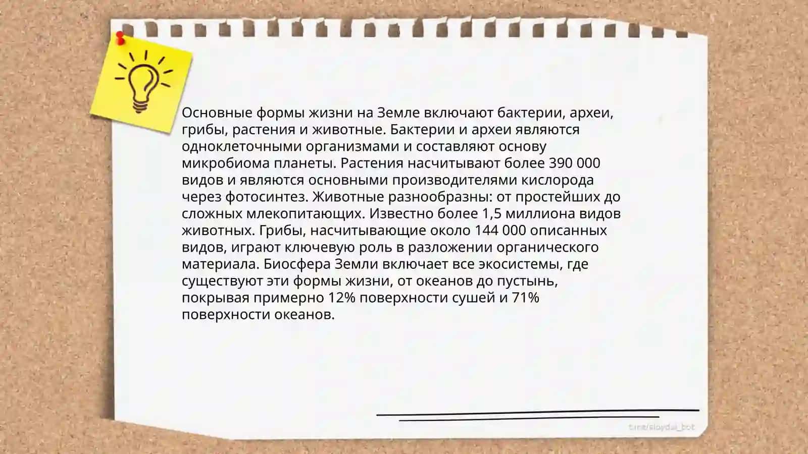 Основные формы жизни 3