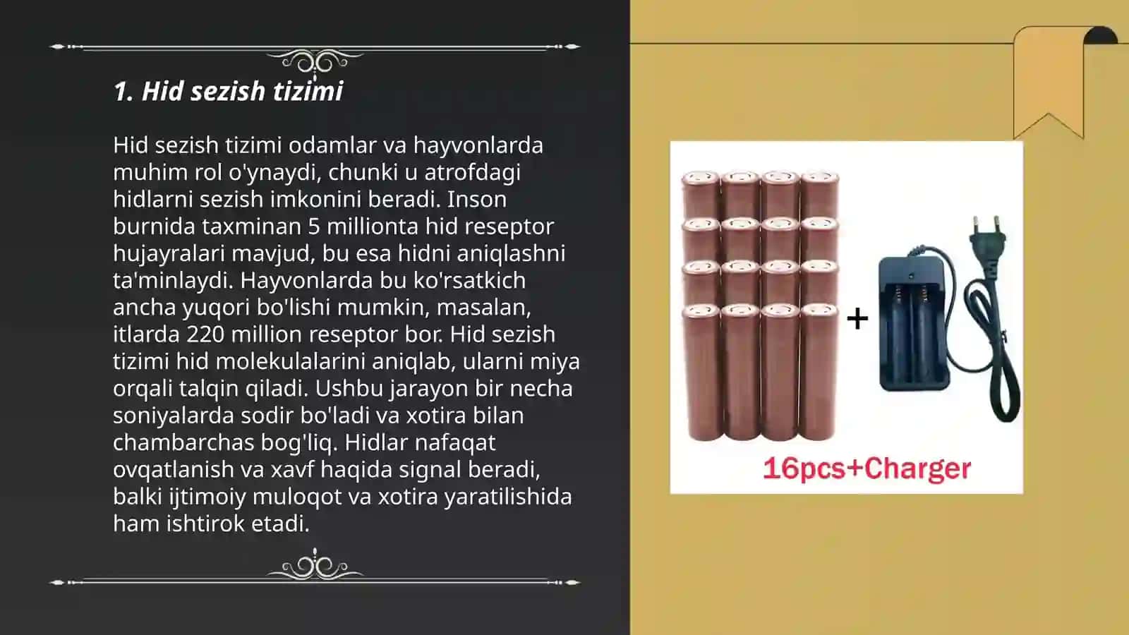 Hid bilish a'zosi 3