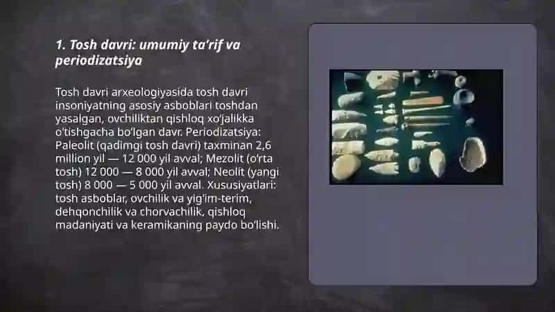 Tosh davri arxeologiyasi 3