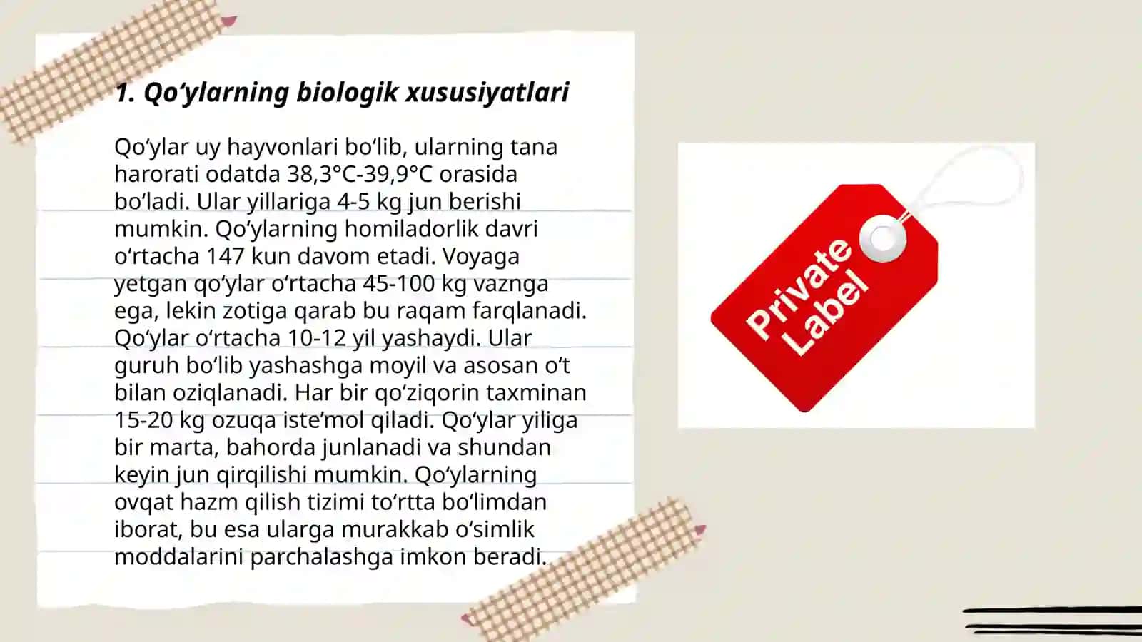 Qoʻylarni bonitrovka qilish 3