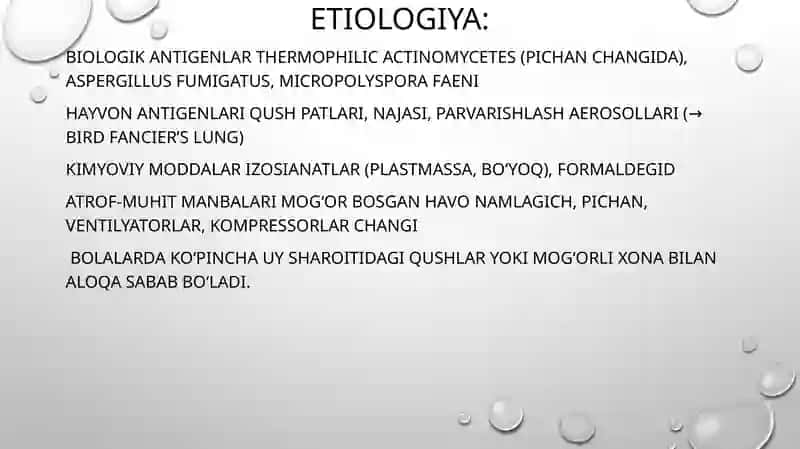 Allergik alveolit 3