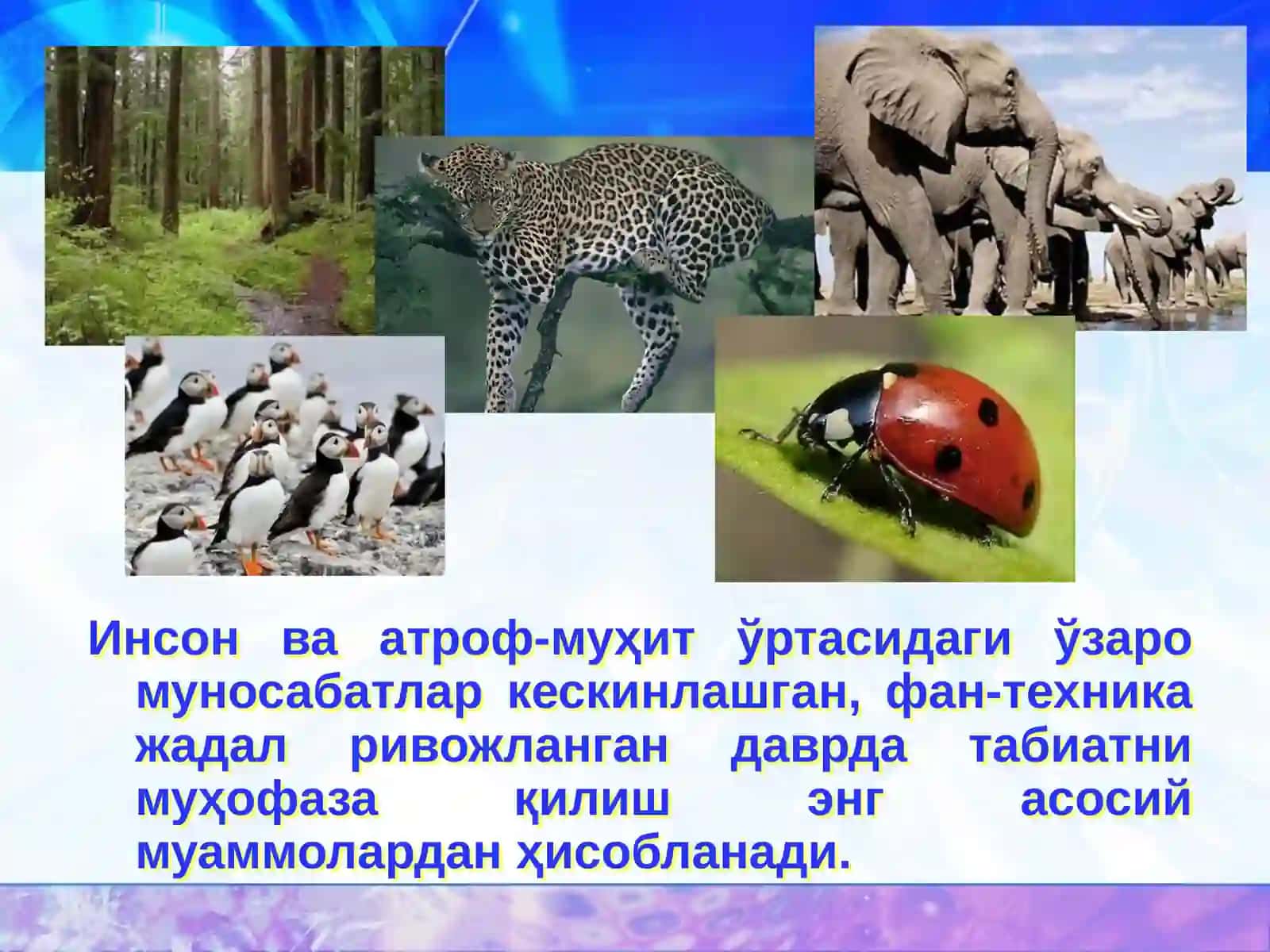 Табиий ресурслар таснифи 3