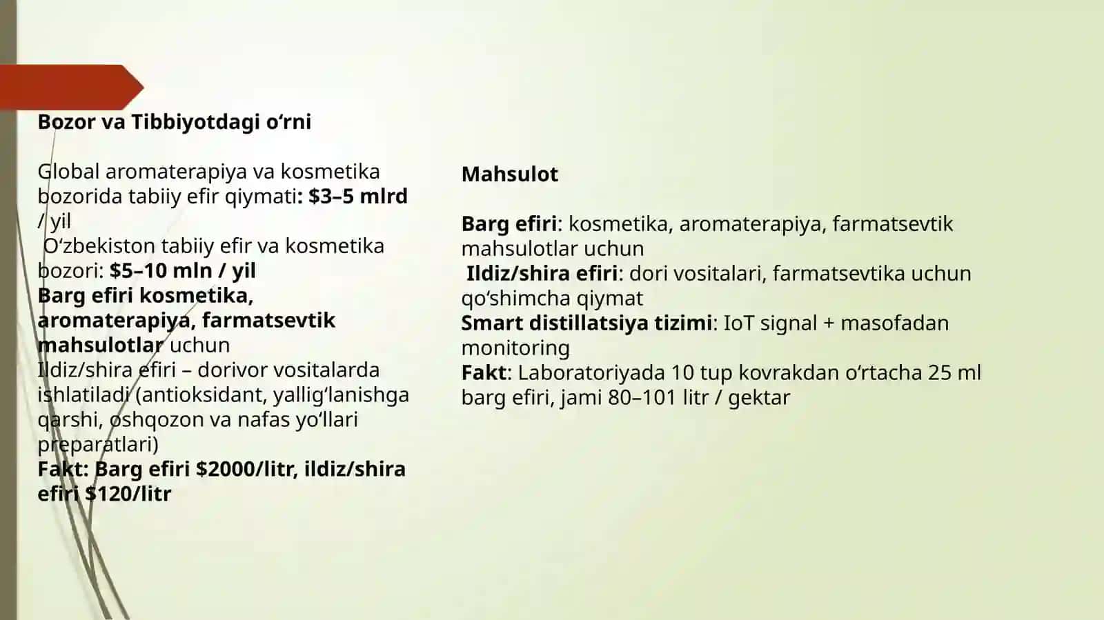 Smart kovrak 3