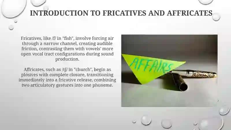 Fricatives and Affricates 3