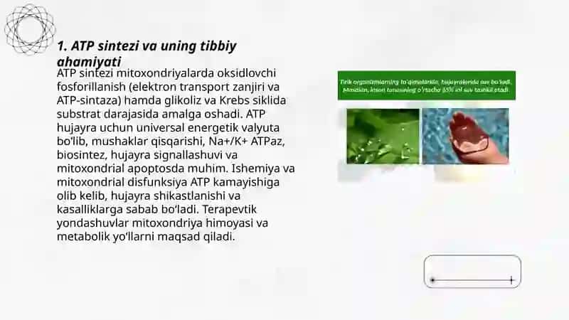 Bioenergetikaning tibbiy ahamiyati 3