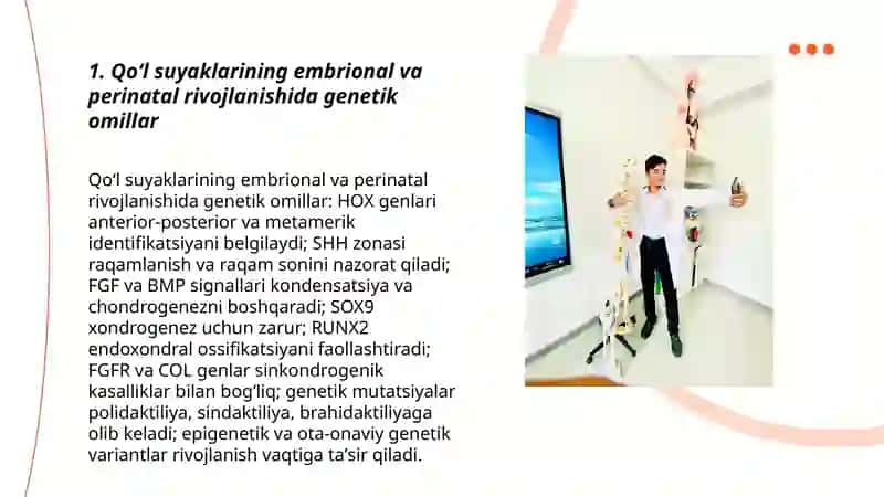 Qo‘l suyaklarining rivojlanishi 3