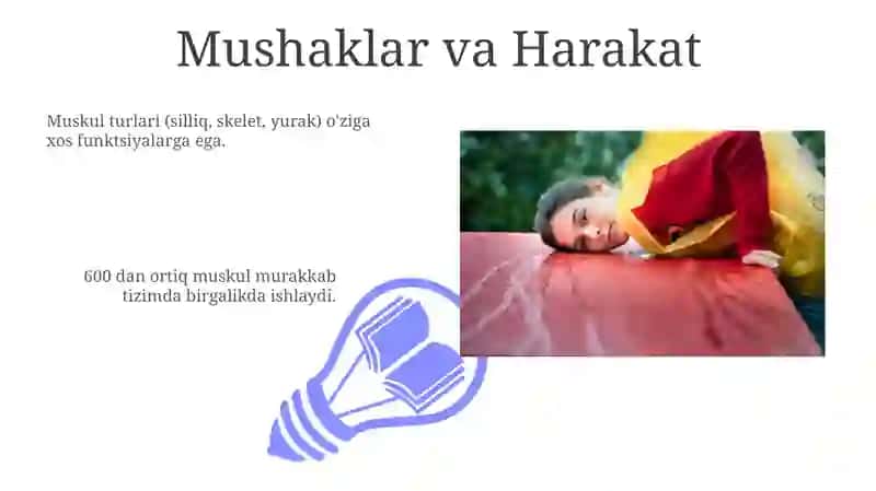 Inson mushak tizimi 3