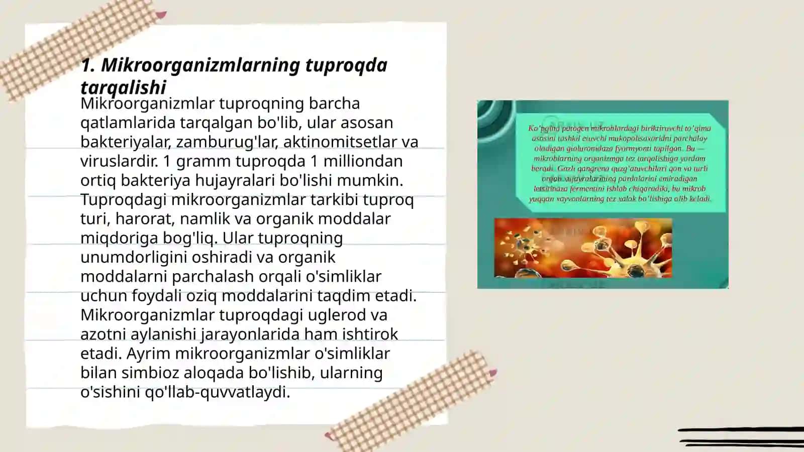 Mikroorganizmlarni tabiatda tarqalishi 3