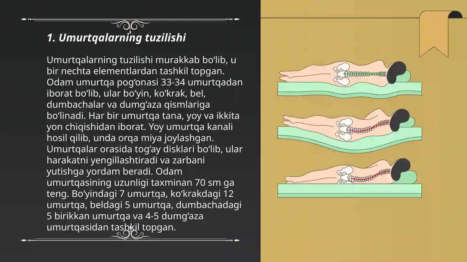 Umurtqalarning o'zaro birlashuvi Umurtqa pog'onasi 3