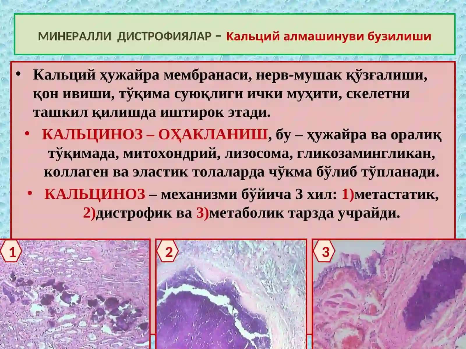 Минарал дистрофия. Некроз 3