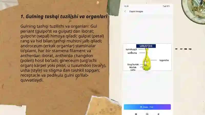 Gul va uning xilma xilligi 3