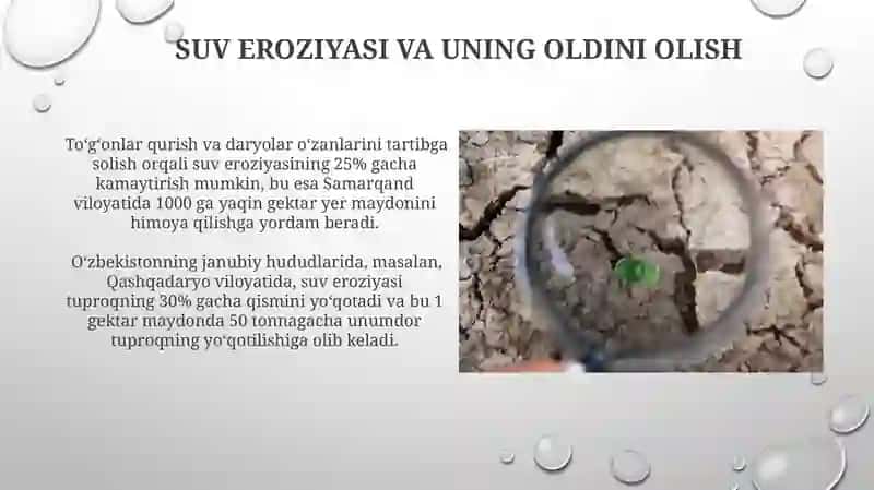 Tuproq resurslari va ularning muhofazasi 3