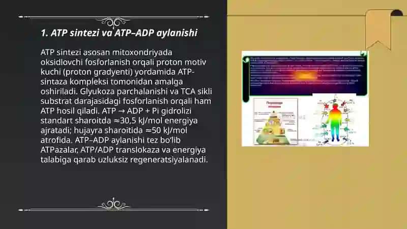 Hujayrada energiya almashinuvi va energiya oqimi 3