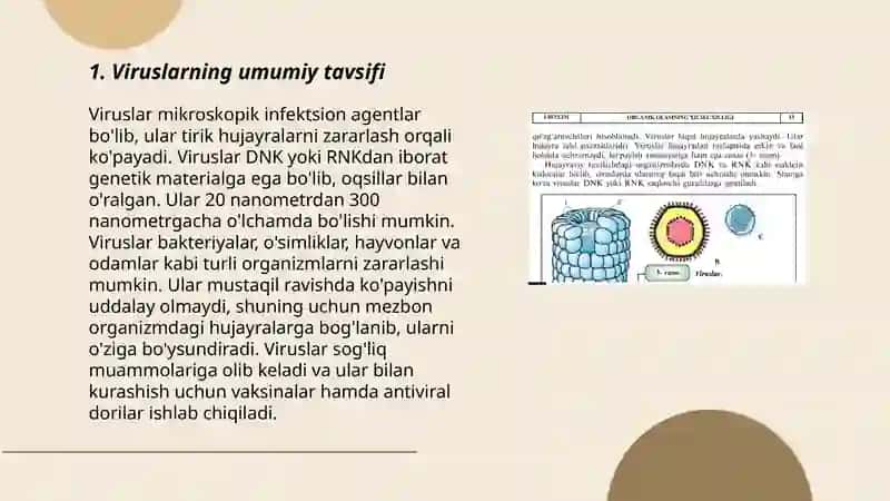 Viruslarning umumiy tavsifi 3