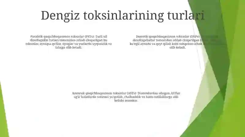 Dengiz Toksinlari 3