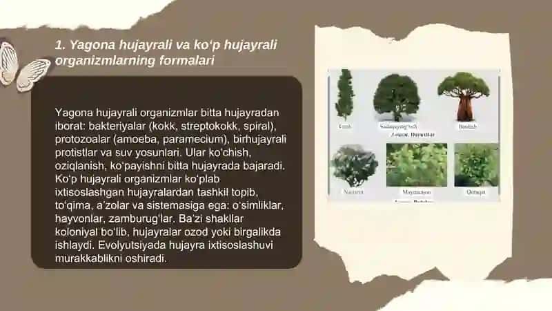 Tirik organizmlarning formalari 3